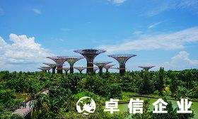 新加坡公司如何起名 新加坡公司注冊(cè)流程及資料