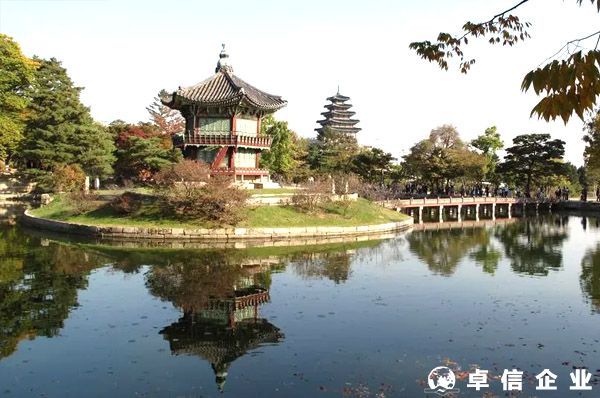 通常韓國公司被稅務調查的原因是什么？